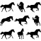 Sticker 9 silhouettes des chevaux - stickers cheval & stickers muraux - fanastick.com