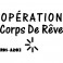 Sticker Operation corps de rêve - stickers frigo & stickers muraux - fanastick.com