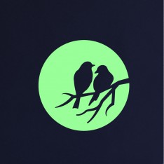  Sticker Phospho lune et oiseaux