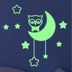  Sticker phospho hibou la lune