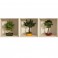 Sticker effet 3D bonsai - stickers effets 3d & stickers muraux - fanastick.com