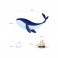 Sticker Baleine et bateau pirate - stickers pirates & stickers enfant - fanastick.com