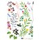 Sticker  Fleurs, herbes et insectes - stickers fleurs & stickers muraux - fanastick.com