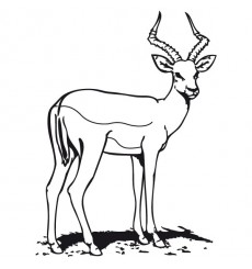 Sticker Antilope