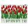 Sticker Haie de tulipes - stickers fleurs & stickers muraux - fanastick.com