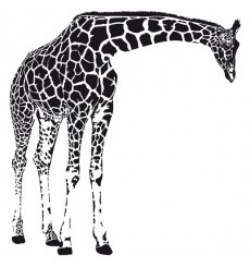 Sticker Girafe penchée