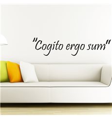 Sticker Cogito ergo sum