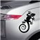 Sticker Lézard Gecko pour votre voiture - stickers animaux & stickers muraux - fanastick.com